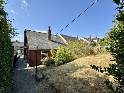 Picture 20